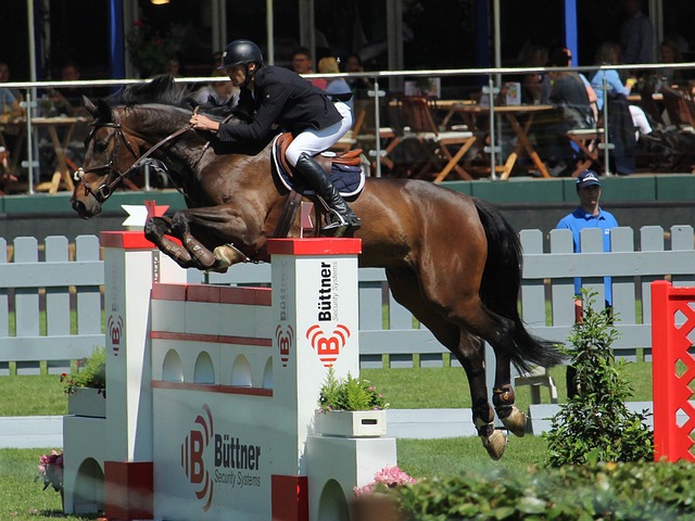 西蒙尼必须 西蒙尼必须