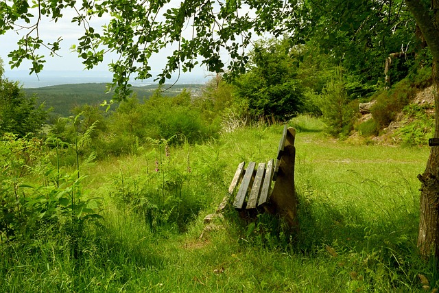 王钰栋的崭 王钰栋的崭