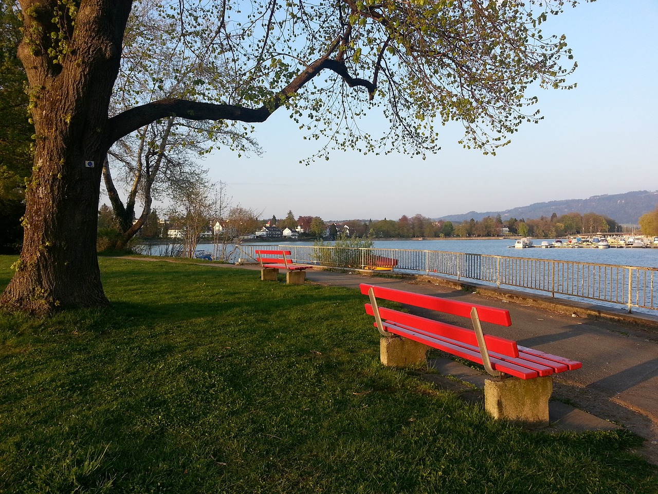 徐杰凭借灵 徐杰凭借灵