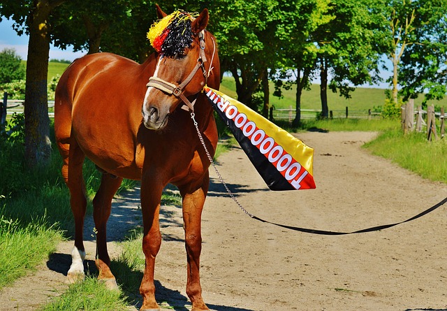 旅第聶伯羅 旅第聶伯羅