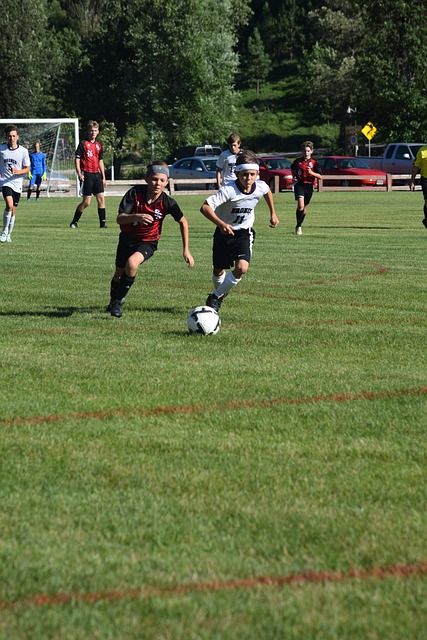 若奪冠使用 若奪冠使用